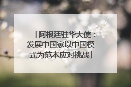 阿根廷驻华大使：发展中国家以中国模式为范本应对挑战