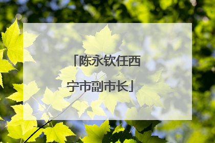 陈永钦任西宁市副市长