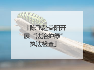 陈飞赴益阳开展“法治护绿”执法检查