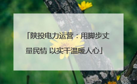 陕投电力运营：用脚步丈量民情 以实干温暖人心
