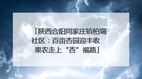 陕西合阳同家庄镇柏瑞社区：百亩杏园迎丰收 果农走上“杏”福路