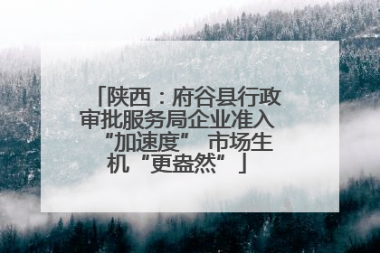陕西：府谷县行政审批服务局企业准入“加速度” 市场生机“更盎然”