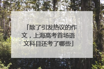除了引发热议的作文，上海高考首场语文科目还考了哪些