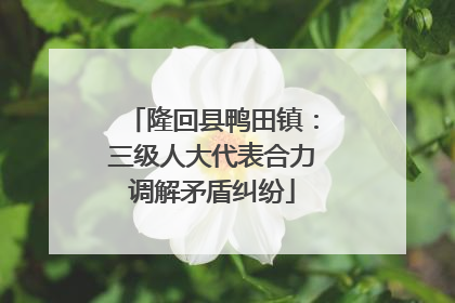隆回县鸭田镇：三级人大代表合力调解矛盾纠纷
