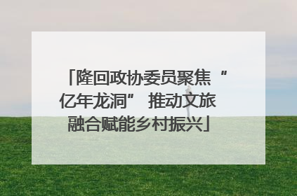 隆回政协委员聚焦“亿年龙洞” 推动文旅融合赋能乡村振兴