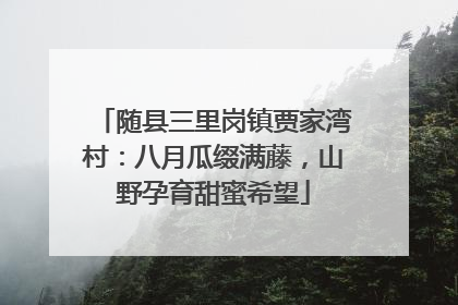 随县三里岗镇贾家湾村：八月瓜缀满藤，山野孕育甜蜜希望