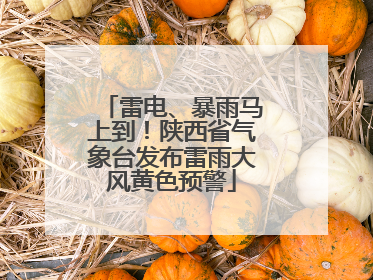 雷电、暴雨马上到！陕西省气象台发布雷雨大风黄色预警