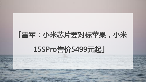 雷军：小米芯片要对标苹果，小米15SPro售价5499元起