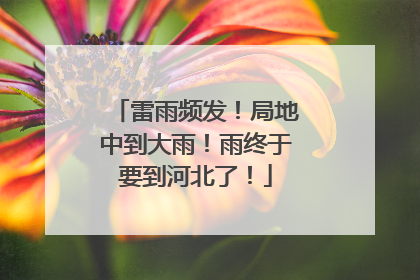雷雨频发！局地中到大雨！雨终于要到河北了！