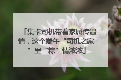 集卡司机带着家属传温情，这个端午“司机之家”里“粽”情浓浓