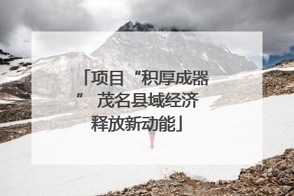 项目“积厚成器” 茂名县域经济释放新动能