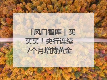 风口智库｜买买买！央行连续7个月增持黄金，专家：金价或仍易涨难跌