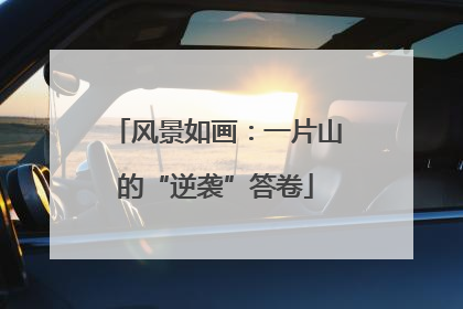 风景如画：一片山的“逆袭”答卷