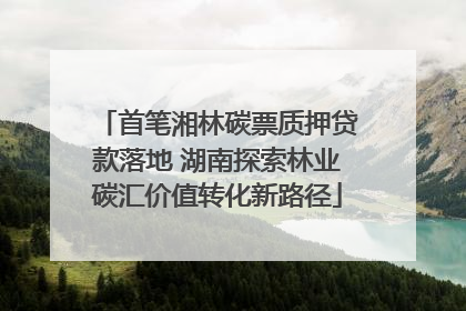 首笔湘林碳票质押贷款落地 湖南探索林业碳汇价值转化新路径