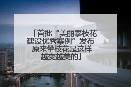 首批“美丽攀枝花建设优秀案例”发布 原来攀枝花是这样越变越美的
