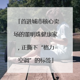 首进城市核心卖场的董明珠健康家，正撕下“格力=空调”的标签