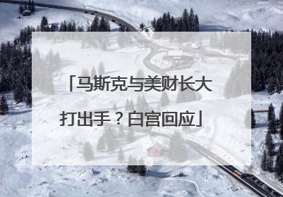 马斯克与美财长大打出手？白宫回应
