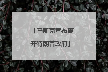 马斯克宣布离开特朗普政府
