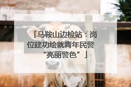 马鞍山边检站：岗位建功绘就青年民警“亮丽警色”
