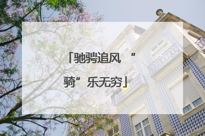 驰骋追风 “骑”乐无穷