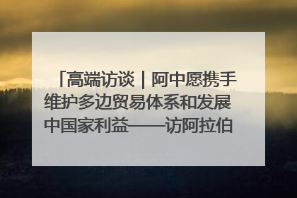 高端访谈｜阿中愿携手维护多边贸易体系和发展中国家利益——访阿拉伯议会议长亚马希