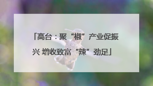 高台：聚“椒”产业促振兴 增收致富“辣”劲足