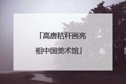 高唐秸秆画亮相中国美术馆