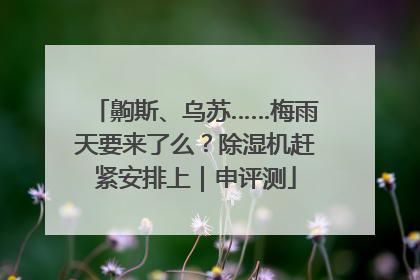 齁斯、乌苏……梅雨天要来了么？除湿机赶紧安排上｜申评测