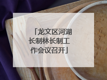 龙文区河湖长制林长制工作会议召开