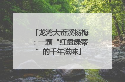 龙湾大岙溪杨梅：一颗“红盘绿蒂”的千年滋味