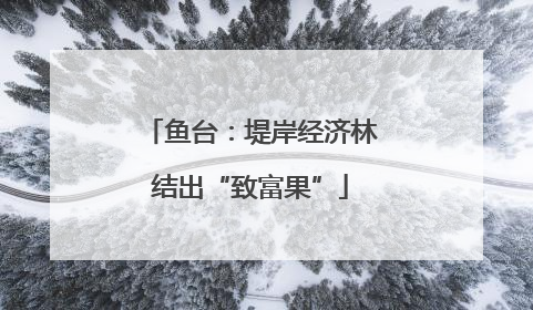 鱼台：堤岸经济林结出“致富果”
