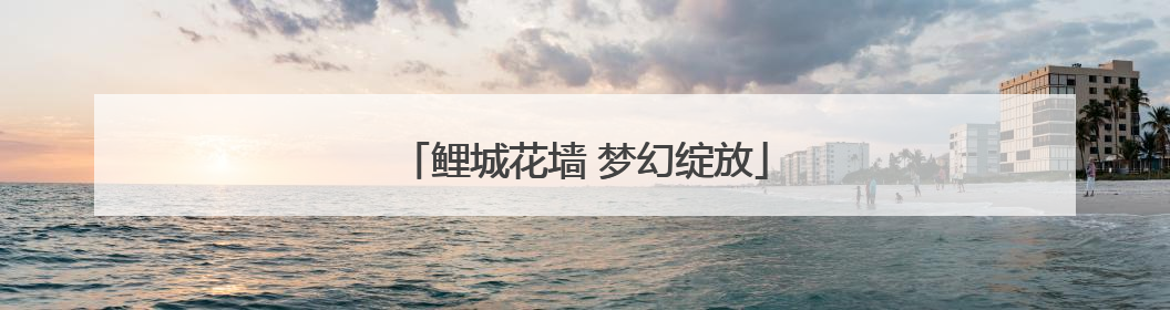 鲤城花墙 梦幻绽放