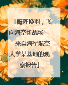 鹰阵换羽，飞向海空新战场——来自海军航空大学某基地的观察报告