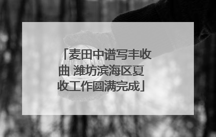麦田中谱写丰收曲 潍坊滨海区夏收工作圆满完成