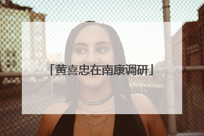 黄喜忠在南康调研