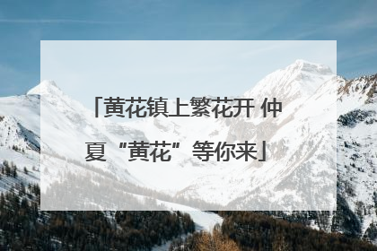 黄花镇上繁花开 仲夏“黄花”等你来