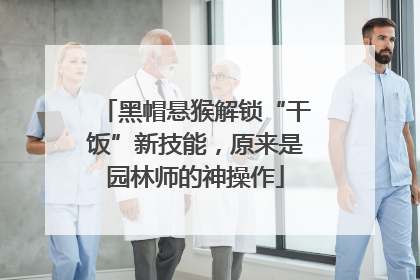 黑帽悬猴解锁“干饭”新技能，原来是园林师的神操作