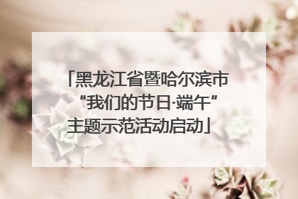 黑龙江省暨哈尔滨市“我们的节日·端午”主题示范活动启动
