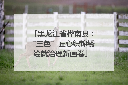 黑龙江省桦南县：“三色”匠心织锦绣 绘就治理新画卷
