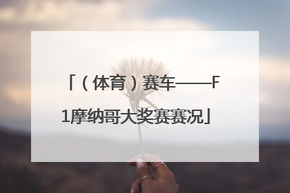 （体育）赛车——F1摩纳哥大奖赛赛况