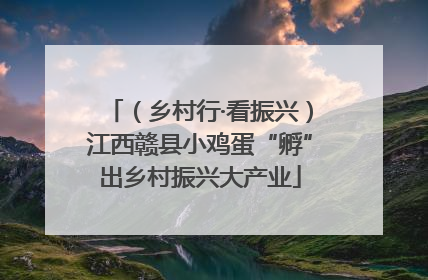 （乡村行·看振兴）江西赣县小鸡蛋“孵”出乡村振兴大产业