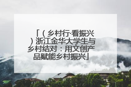 （乡村行·看振兴）浙江金华大学生与乡村结对：用文创产品赋能乡村振兴