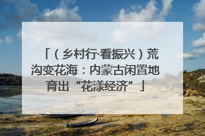 （乡村行·看振兴）荒沟变花海：内蒙古闲置地育出“花漾经济”