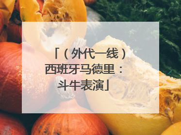 （外代一线）西班牙马德里：斗牛表演