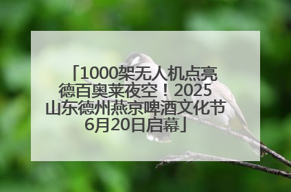 1000架无人机点亮德百奥莱夜空！2025山东德州燕京啤酒文化节6月20日启幕