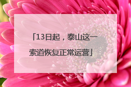 13日起，泰山这一索道恢复正常运营