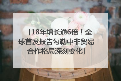18年增长逾6倍！全球首发报告勾勒中非贸易合作格局深刻变化