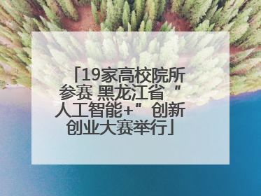 19家高校院所参赛 黑龙江省“人工智能+”创新创业大赛举行