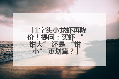 1字头小龙虾再降价！提问：买虾 “钳大” 还是 “钳小” 更划算？