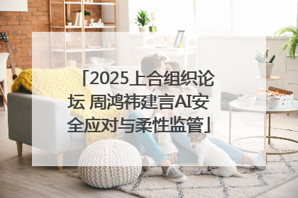2025上合组织论坛 周鸿祎建言AI安全应对与柔性监管